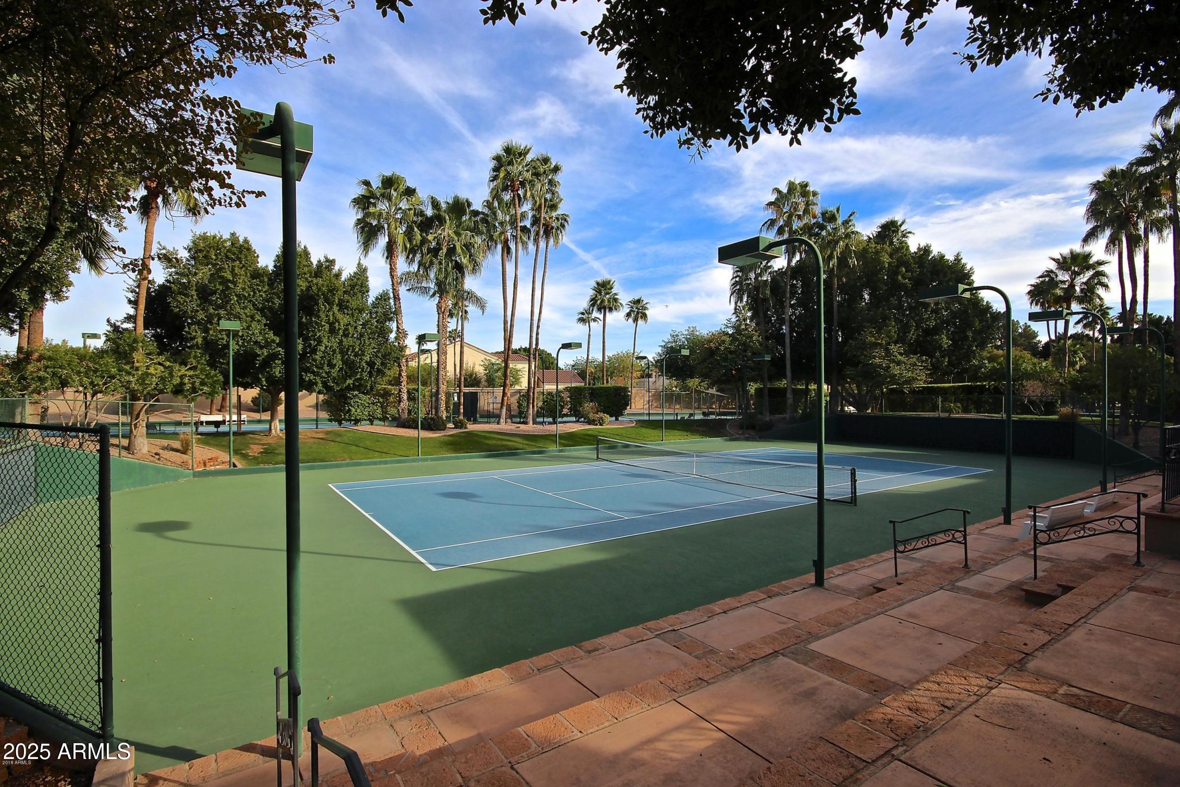 2214 East Beachcomber Drive Gilbert, AZ 85234 - Photo 39 of 45 tennis courts Greg D