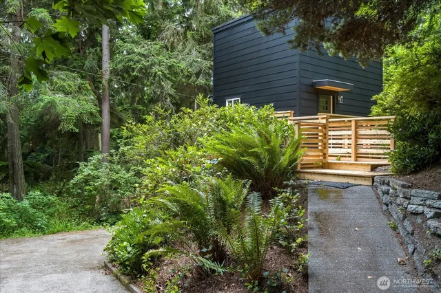 a view of a backyard with plants