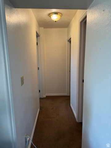 1043 East 4000th Street South Vernal, UT 84078 - Photo 16 of 31 Interior hallway featuring light-colored walls, brown carpeting, and a flush-mount ceiling light fixture