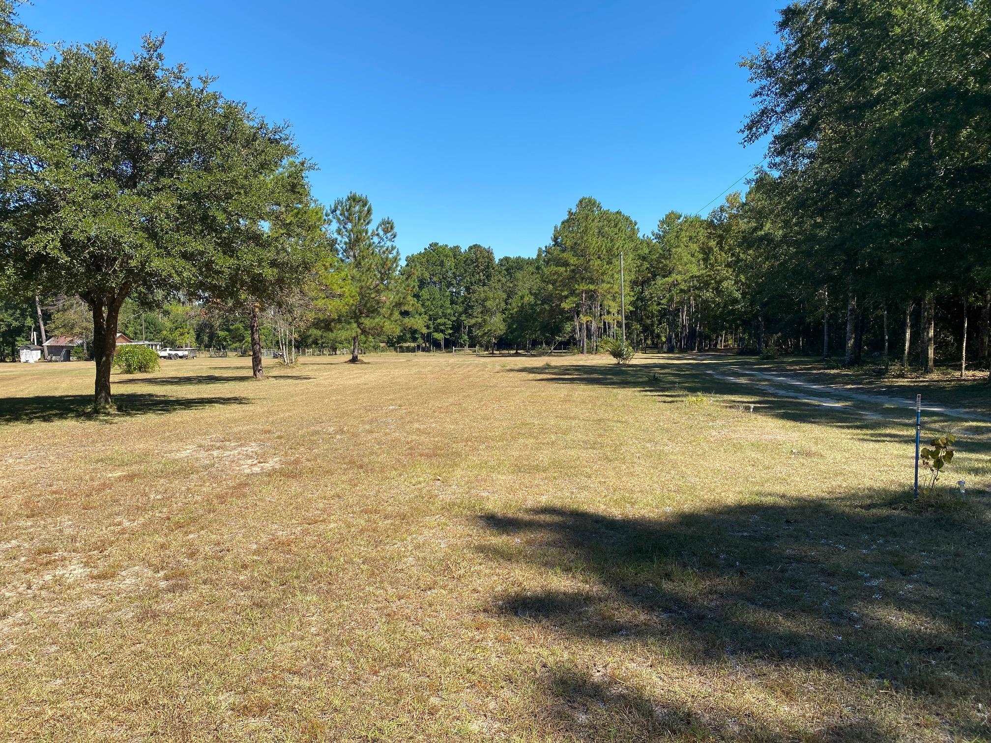 1247 Juniper Road Quincy, FL 32351 - Photo 14 of 27 Gallery Image 14