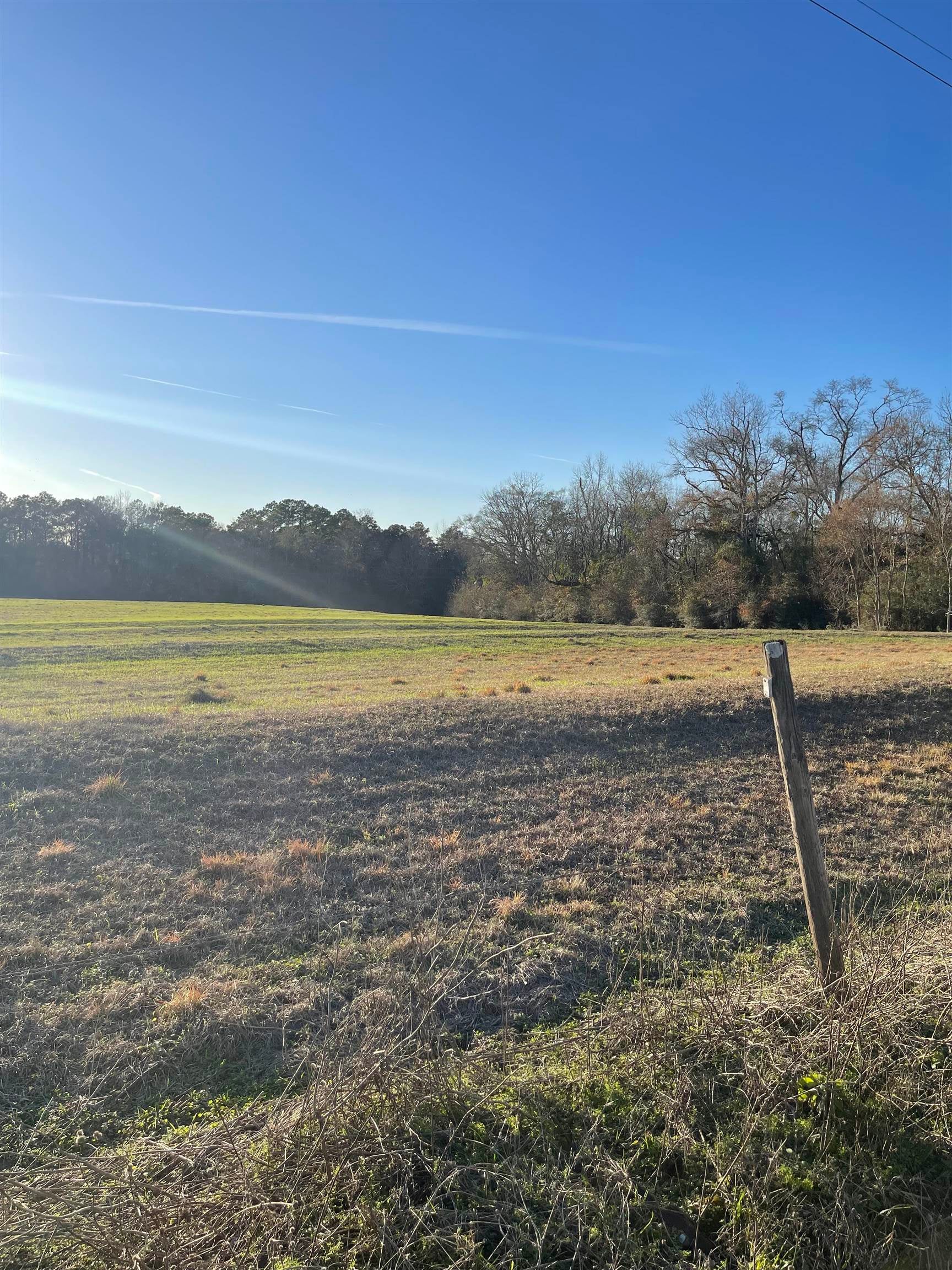 0 George Boles Road Andalusia, AL 36421 - Photo 7 of 8 Gallery Image 7