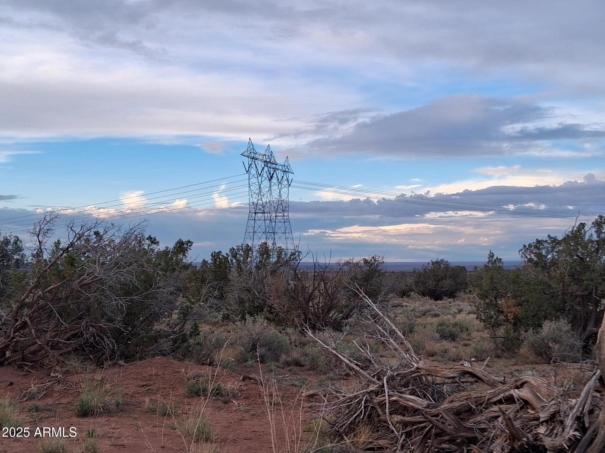 201 County Road Concho, AZ 85924 - Photo 21 of 24