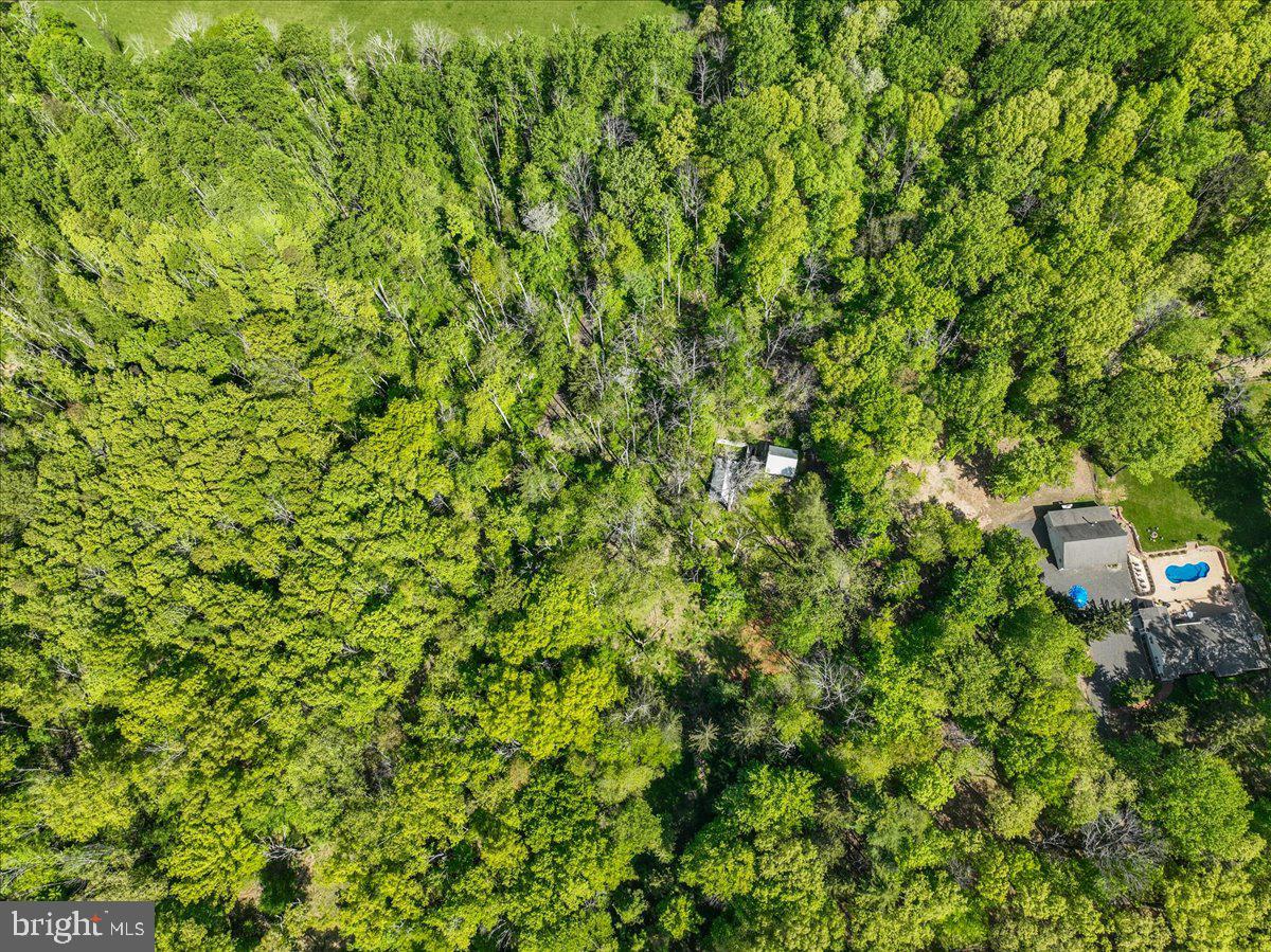 133 Woosamonsa Road Pennington, NJ 08534 - Photo 12 of 27 a view of a lush green forest with a tree