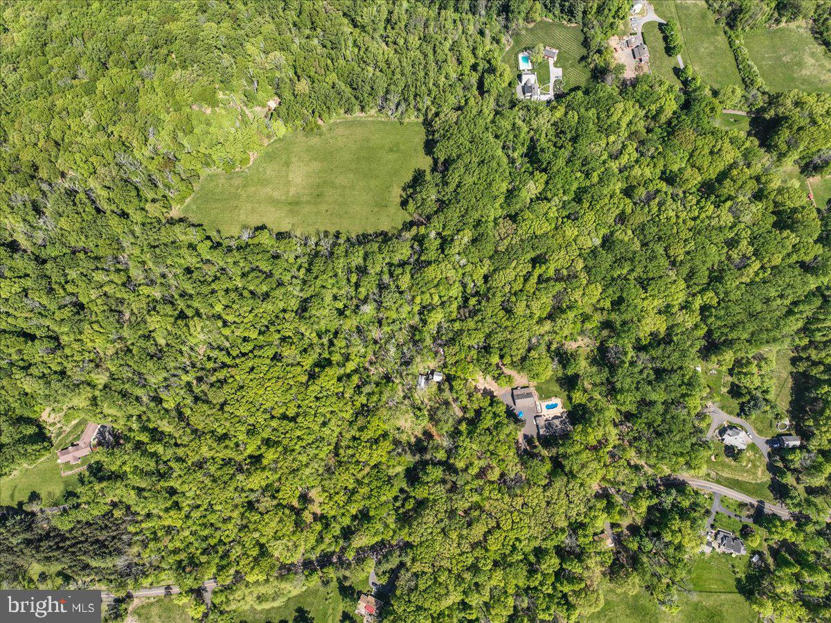 133 Woosamonsa Road Pennington, NJ 08534 - Photo 4 of 27 a close up of a plant