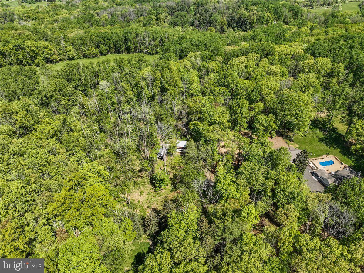 133 Woosamonsa Road Pennington, NJ 08534 - Photo 7 of 27 a view of a big yard with plants and large trees