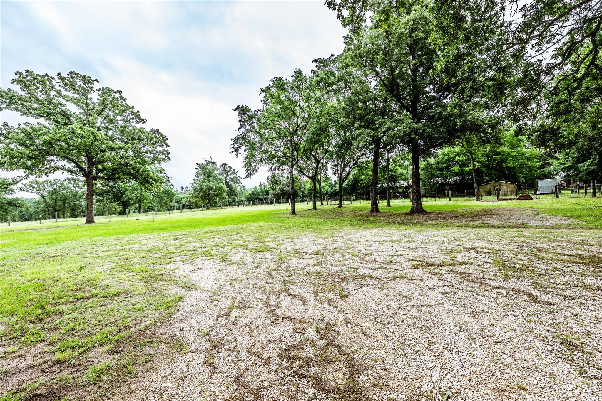 218 Rosenwall Road Huntsville, TX 77320 - Photo 11 of 39