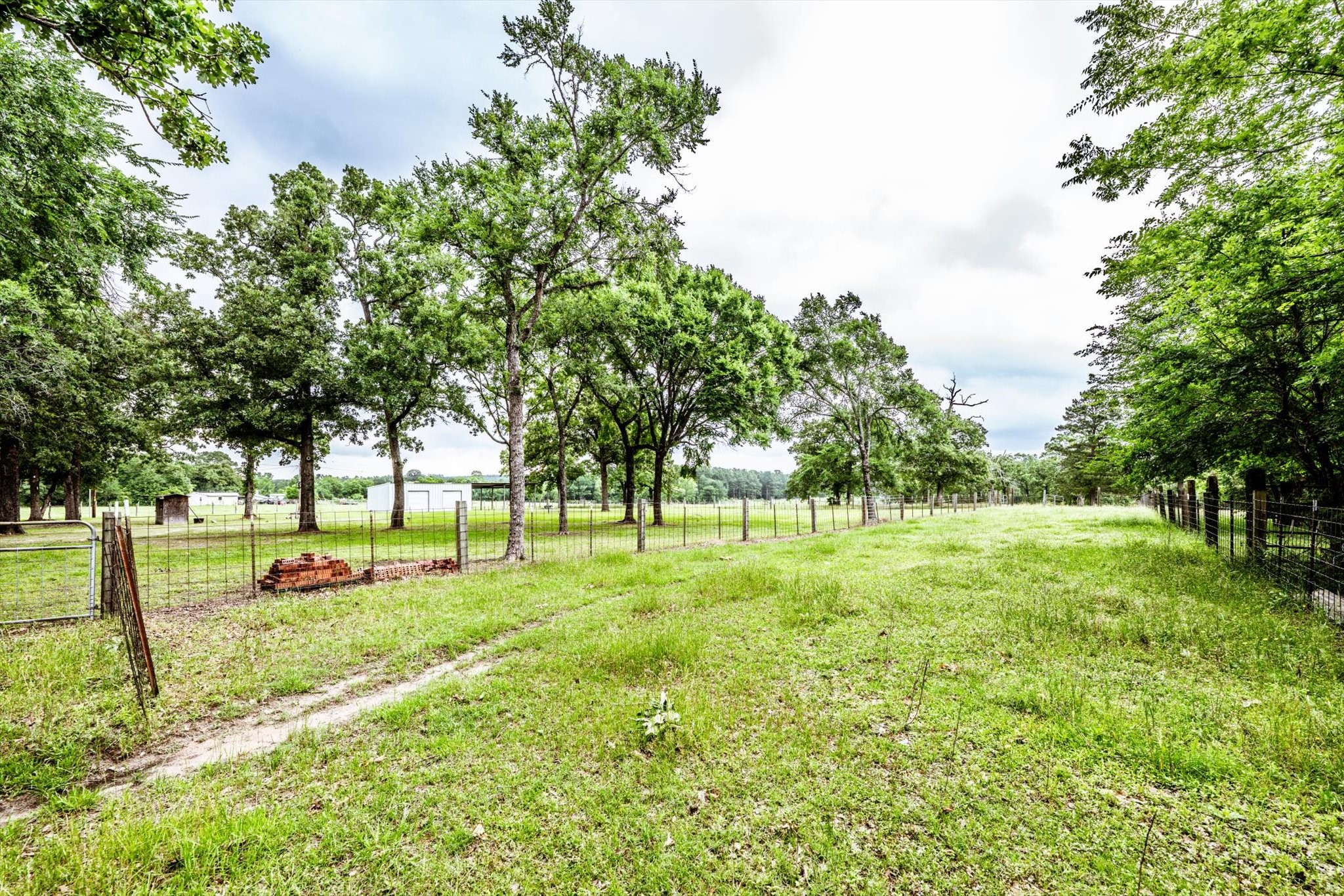 218 Rosenwall Road Huntsville, TX 77320 - Photo 13 of 39