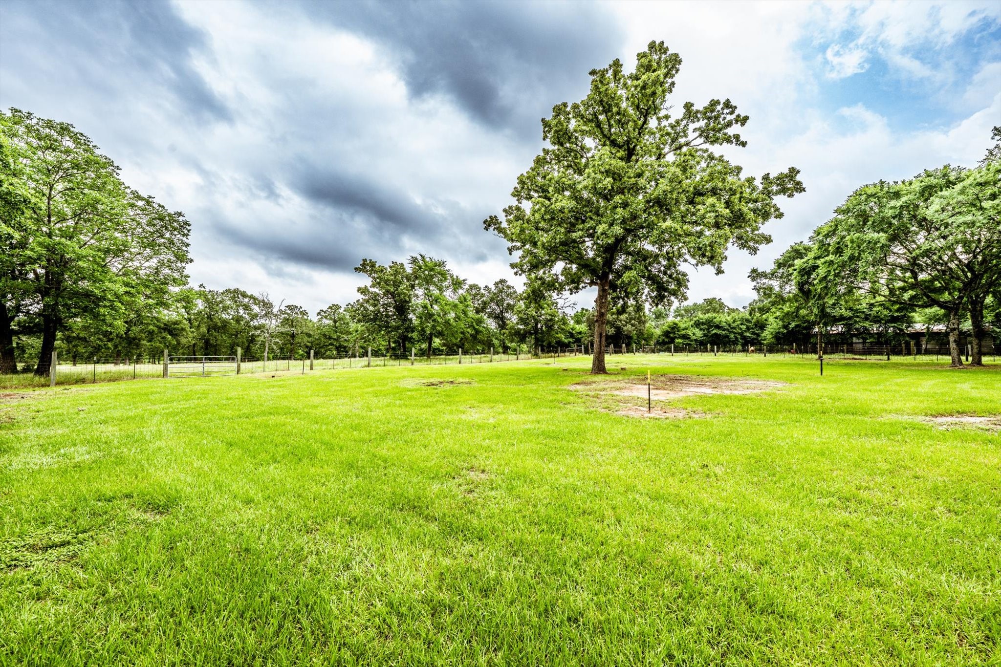 218 Rosenwall Road Huntsville, TX 77320 - Photo 15 of 39