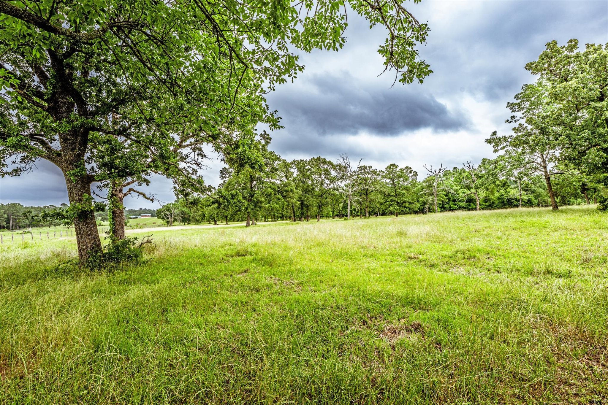 218 Rosenwall Road Huntsville, TX 77320 - Photo 16 of 39