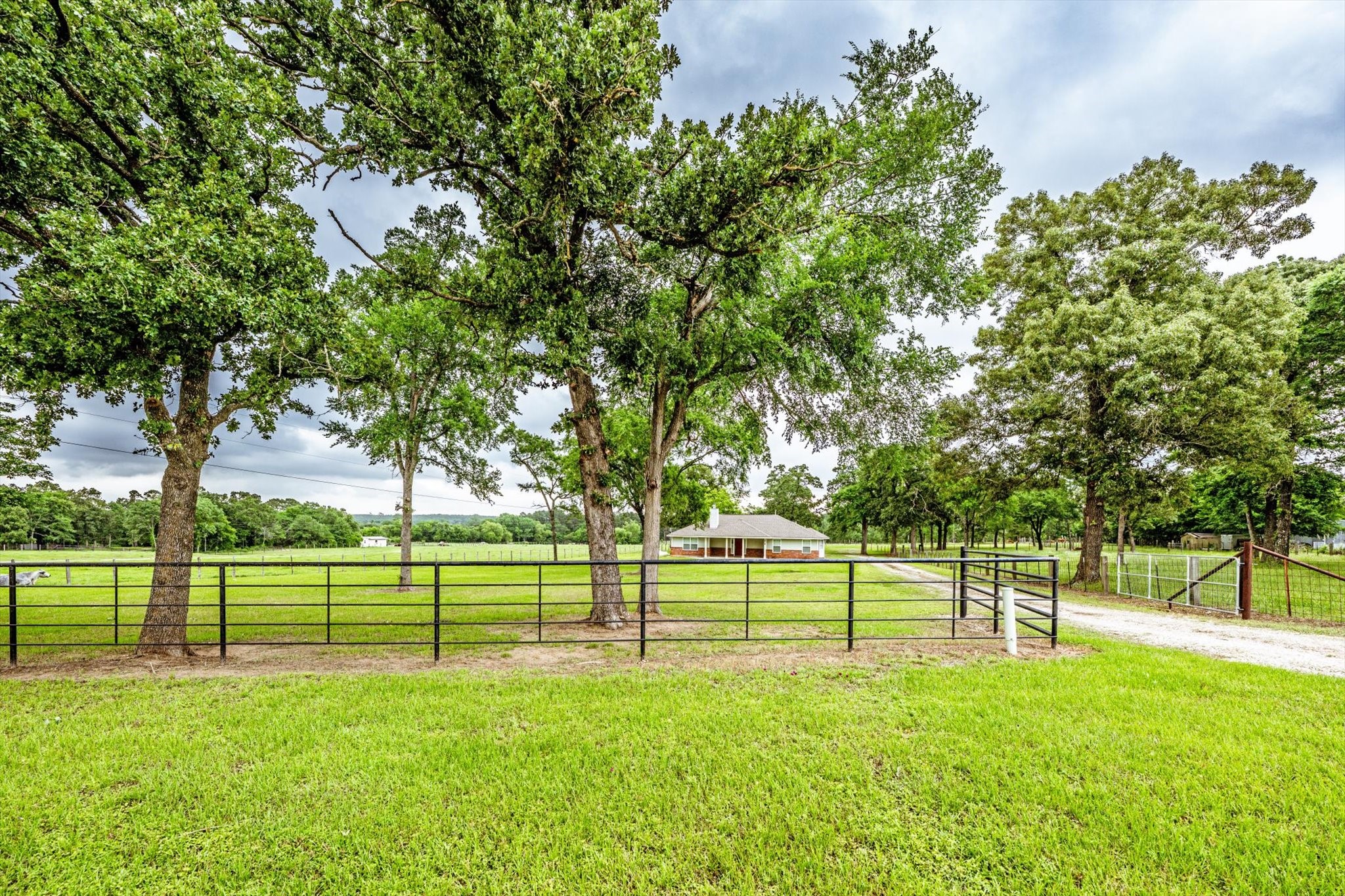 218 Rosenwall Road Huntsville, TX 77320 - Photo 39 of 39