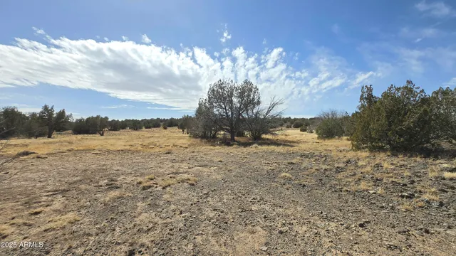 $480,000 | 8495 Antelope Run Road, Ash Fork, AZ 86320