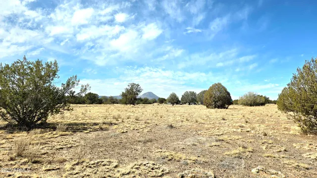 $480,000 | 8495 Antelope Run Road, Ash Fork, AZ 86320