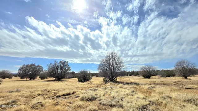 $480,000 | 8495 Antelope Run Road, Ash Fork, AZ 86320