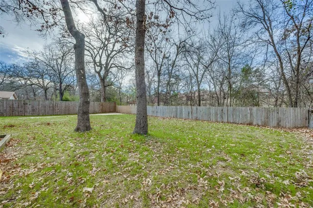 a view of a yard with a tree