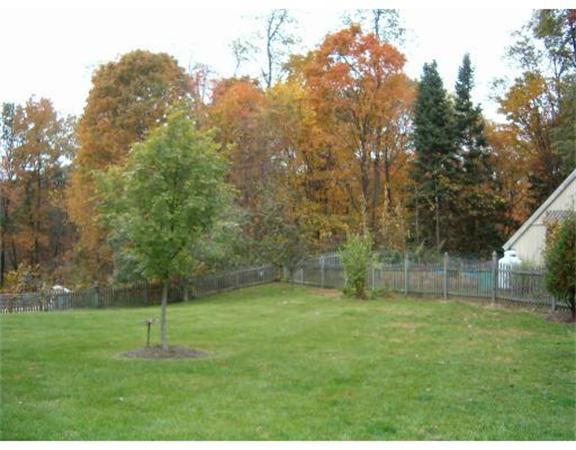 91 Ryan Road Northampton, MA 01062 - Photo 21 of 24 a backyard of a house with lots of green space