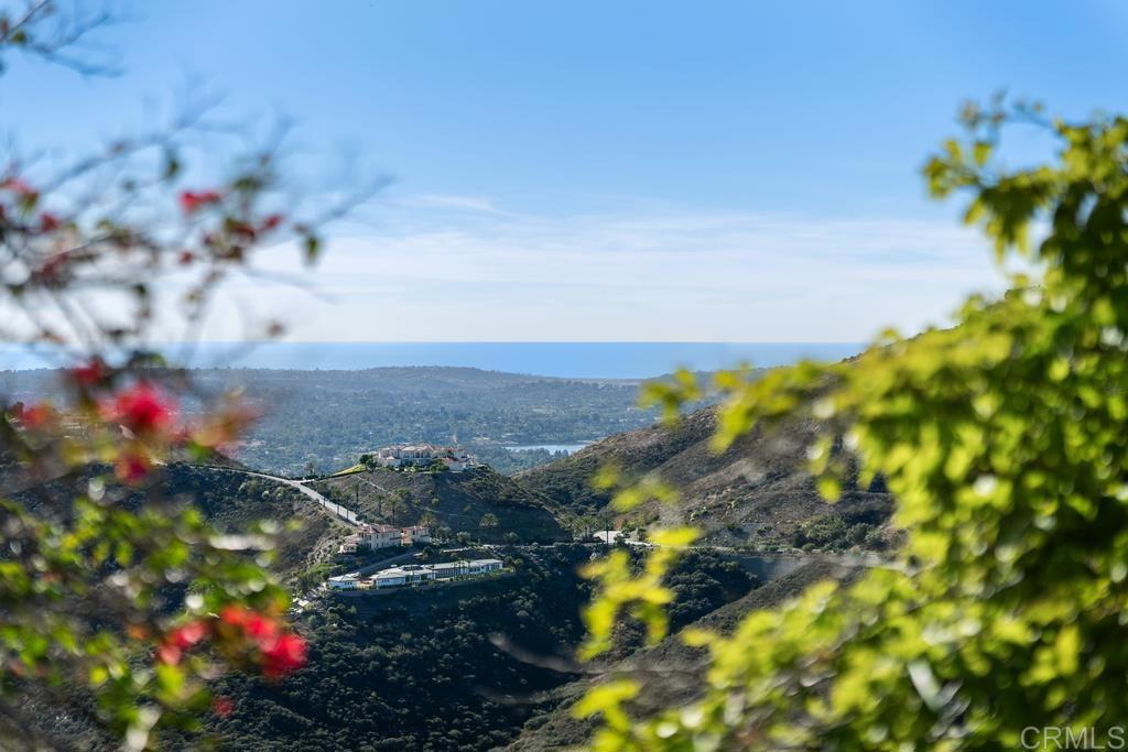 18441 Via Ambiente Rancho Santa Fe, CA 92067 - Photo 35 of 35 a view of a flower
