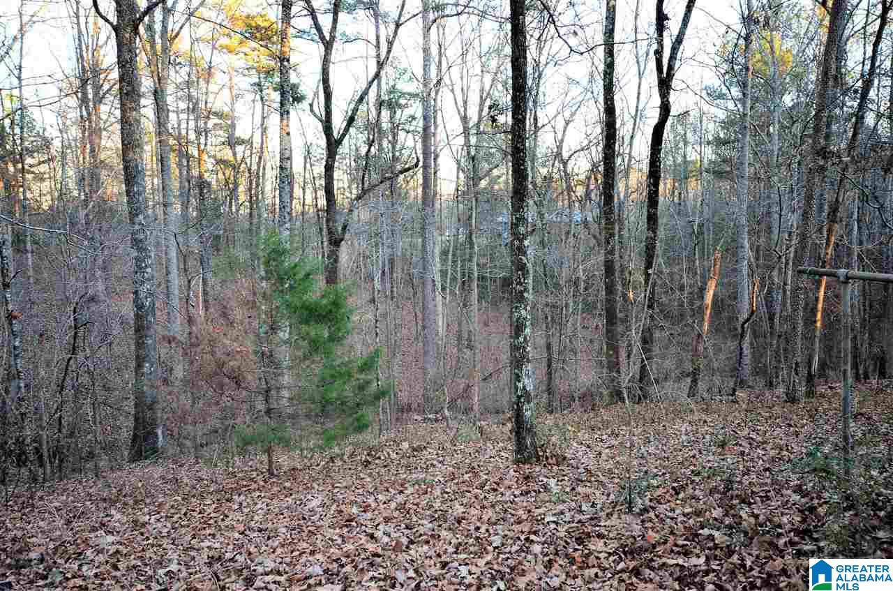 930 Ridge Trail Warrior, AL 35180 - Photo 34 of 34