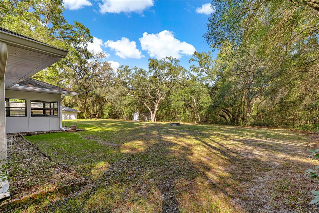 1155 East Bismark Street Hernando, FL 34442 - Photo 36 of 52 a view of a field with of trees
