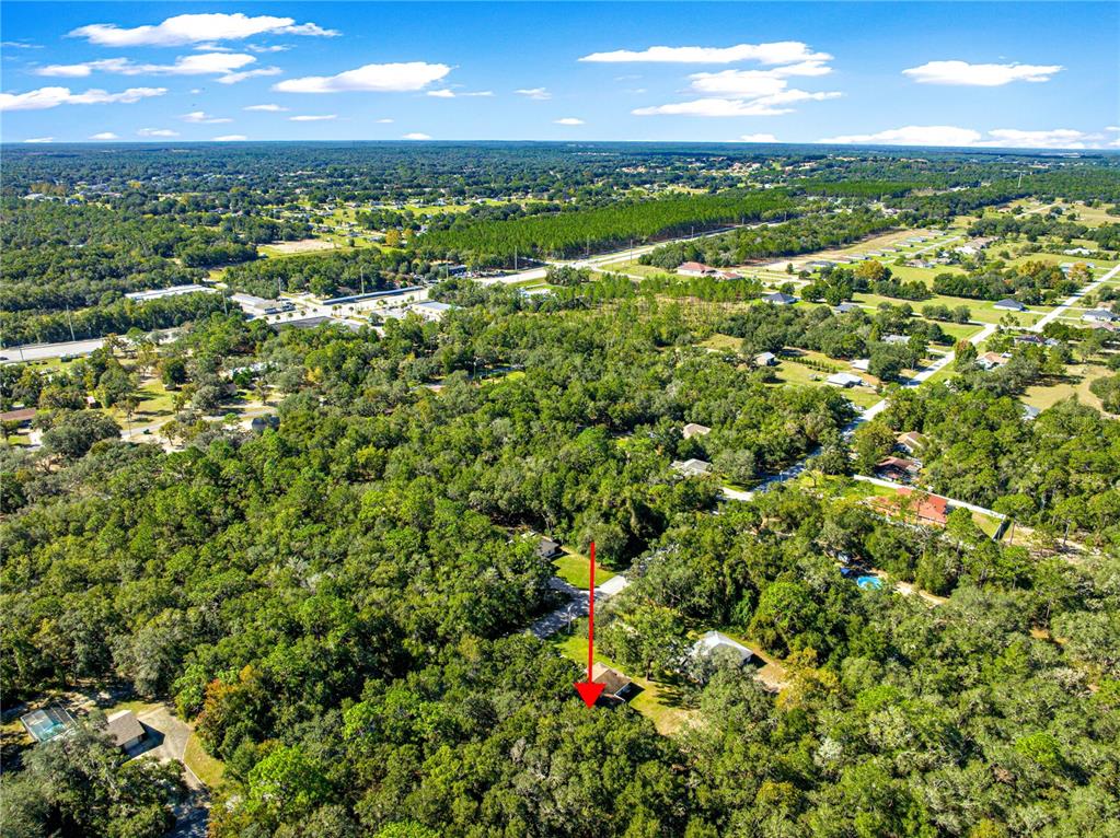 1155 East Bismark Street Hernando, FL 34442 - Photo 46 of 52 a view of a city