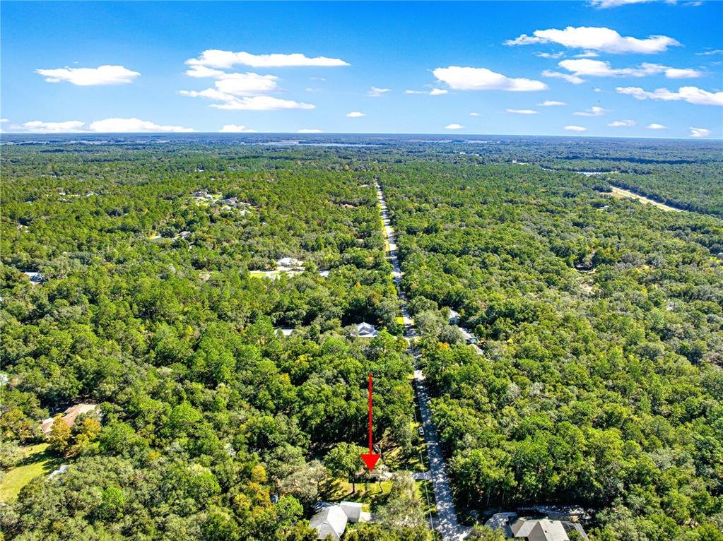 1155 East Bismark Street Hernando, FL 34442 - Photo 49 of 52 a view of a city