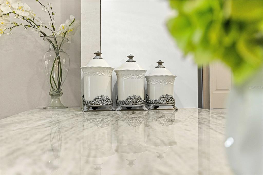 1155 East Bismark Street Hernando, FL 34442 - Photo 10 of 52 a view of a terrace with a tree