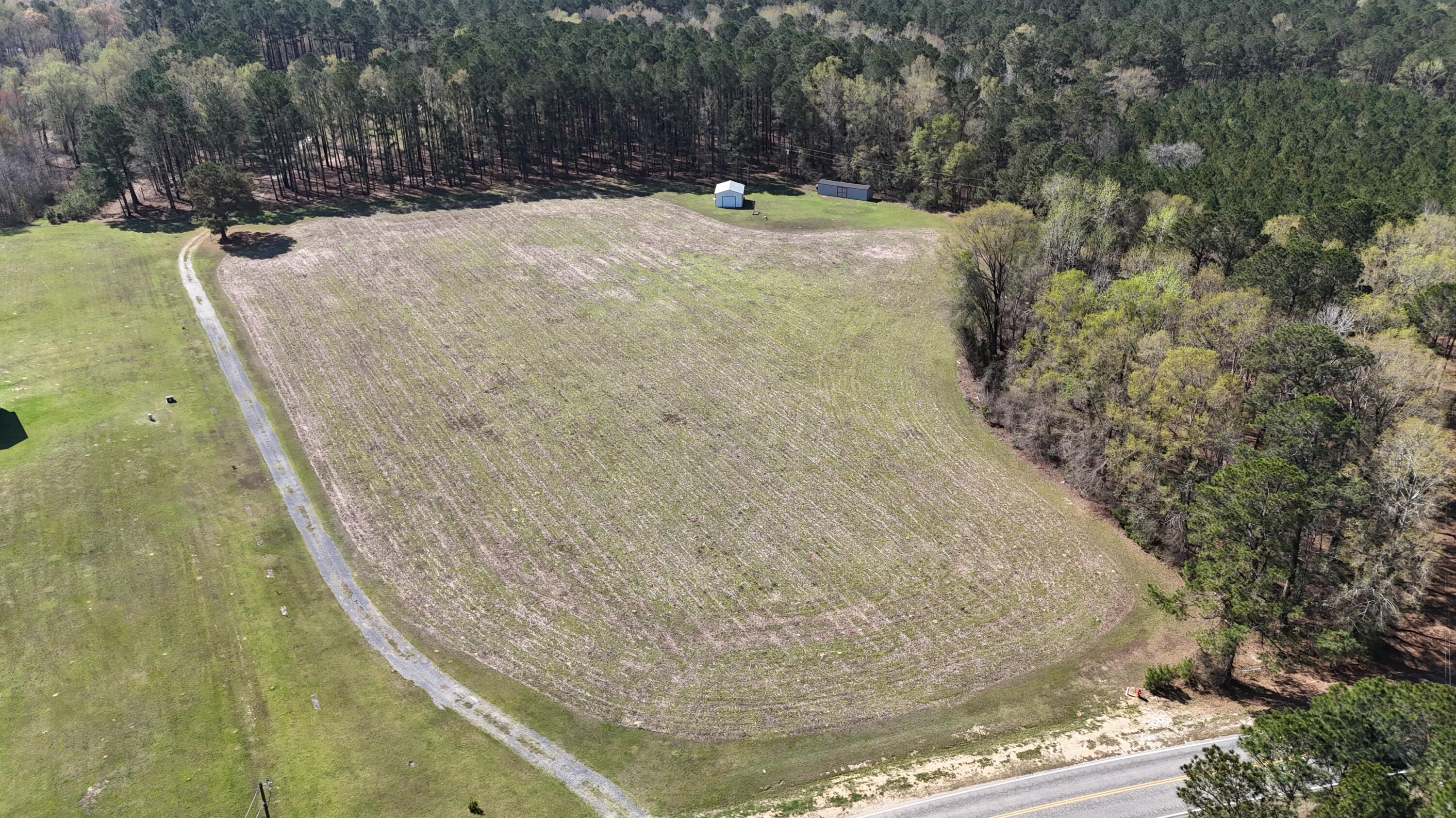1995 Sam Nexsen Road Summerton, SC 29148 - Photo 32 of 110