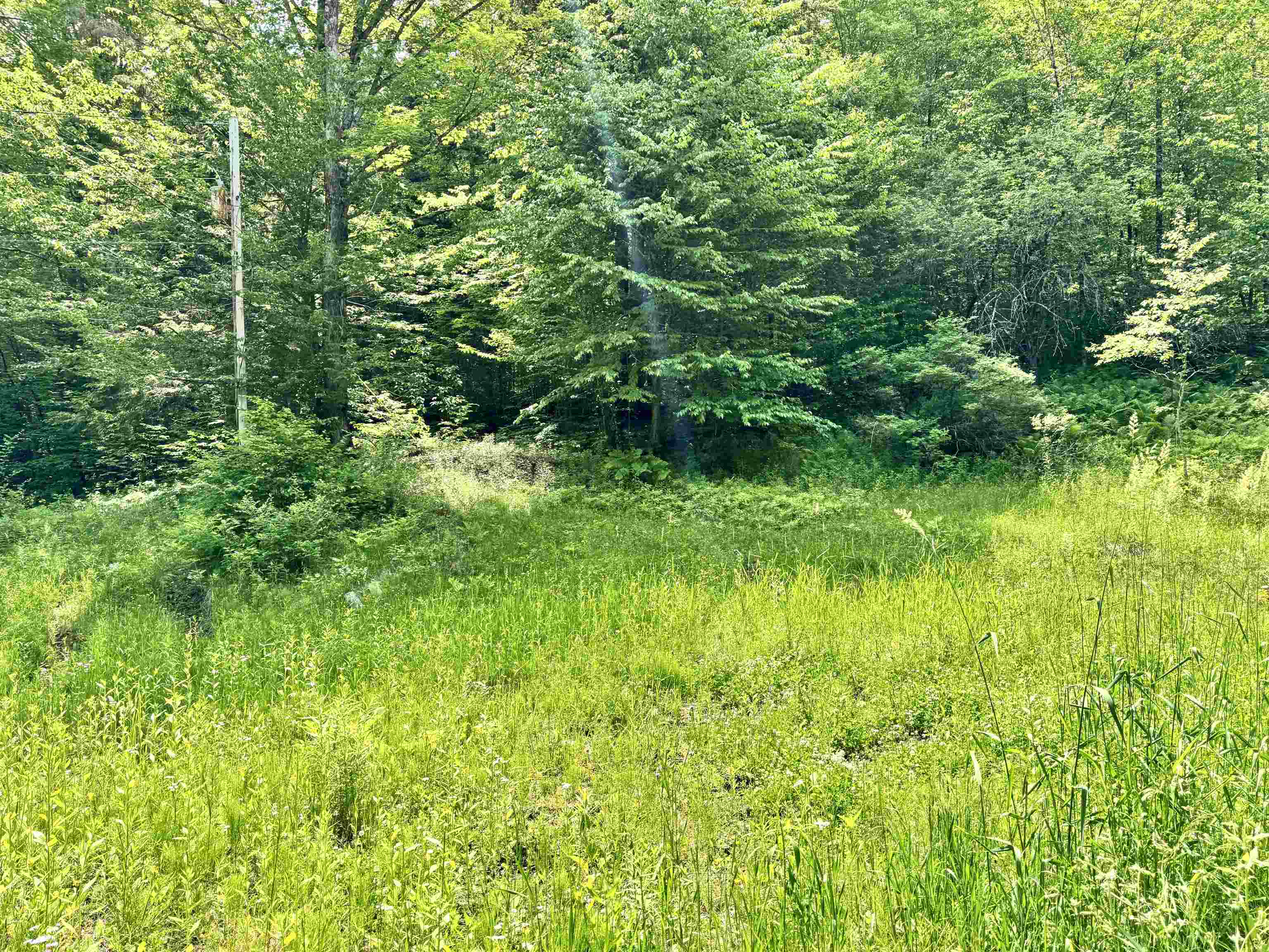 62 Foundry Road Tunbridge, VT 05077 - Photo 7 of 13