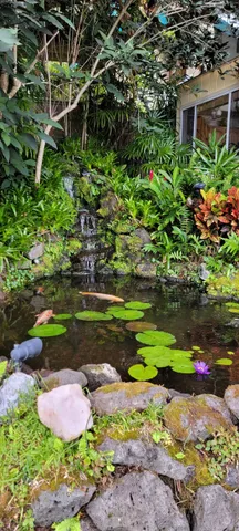 a view of a house with backyard and a tree