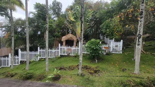 a view of a house with a tree