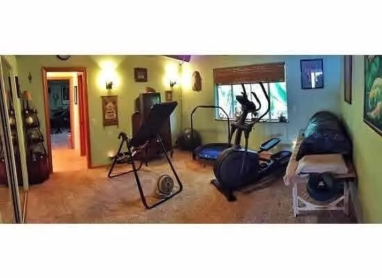 a view of a garden with a tree