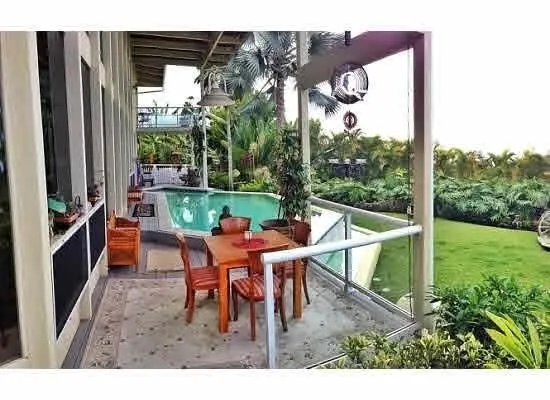 a view of a backyard with plants