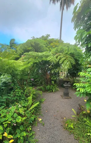 a view of a dining room with furniture and a potted plant