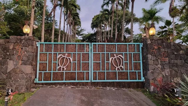 a view of a garden with a building