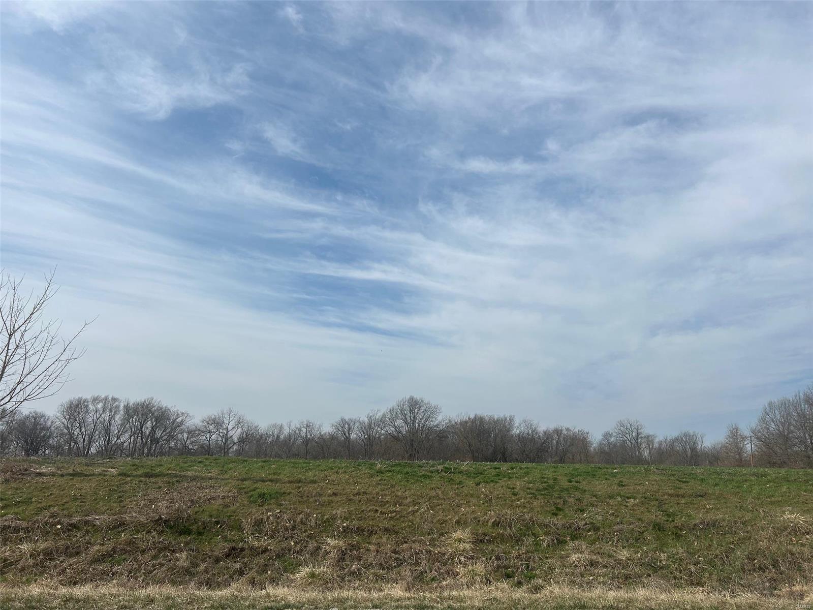0 Pokey Road Pocahontas, IL 62275 - Photo 2 of 2 Gallery Image 2