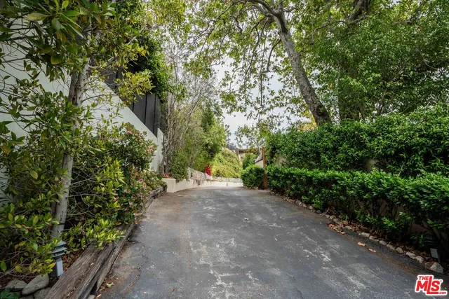 a view of a pathway with a tree