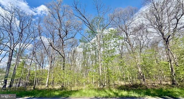 Turkey Neck Road Swanton, MD 21561 - Photo 2 of 23 a backyard of a house with lots of green space