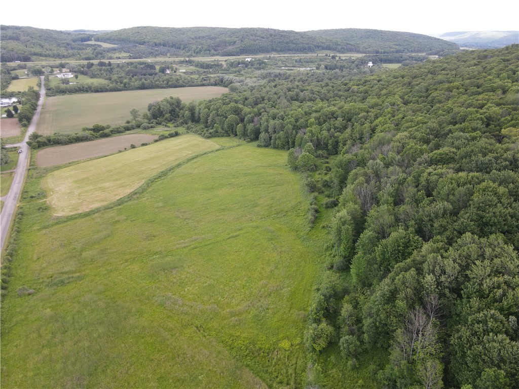 Lot 9 Summit Road Cuba, NY 14727 - Photo 7 of 22