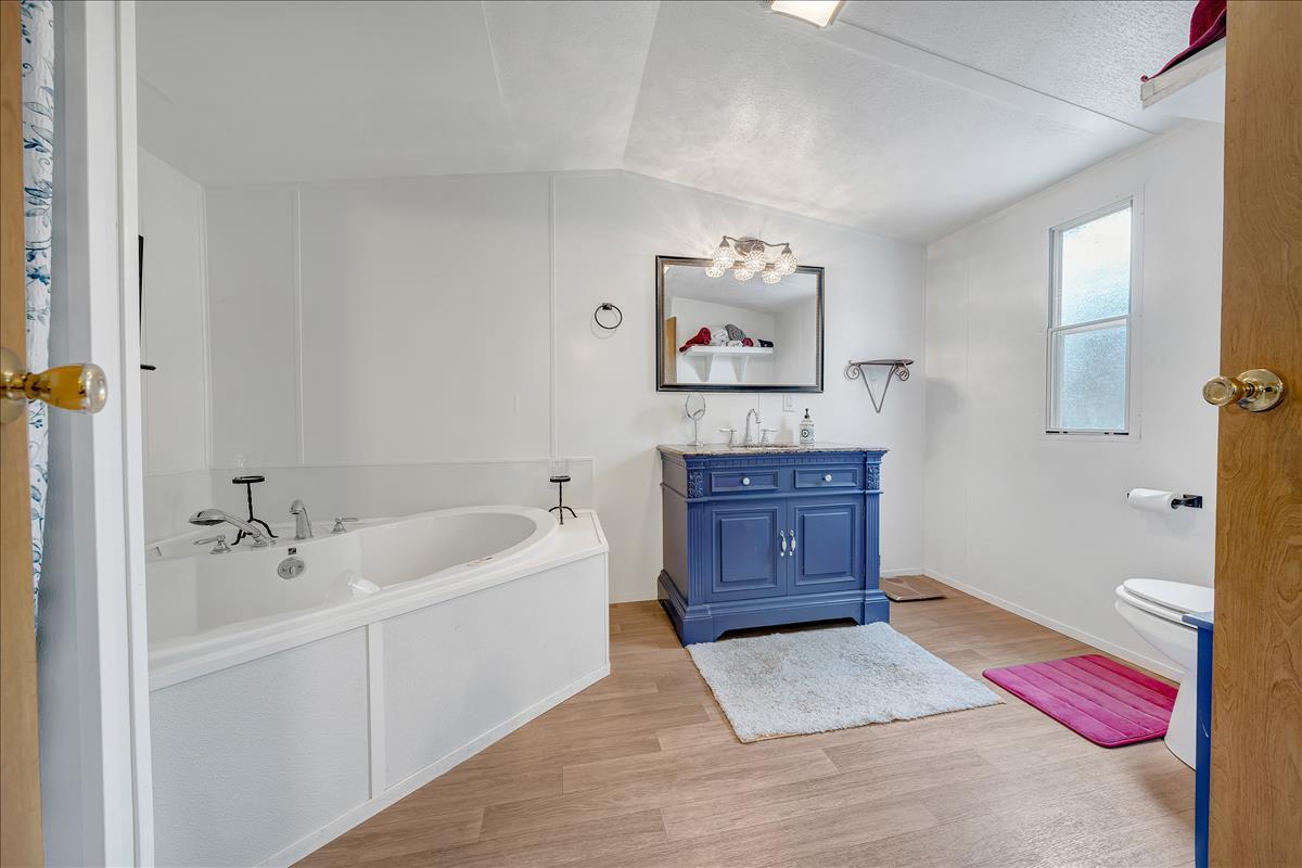 102 Ramblin Rose Road Vinton, VA 24179 - Photo 12 of 22 master bath 2