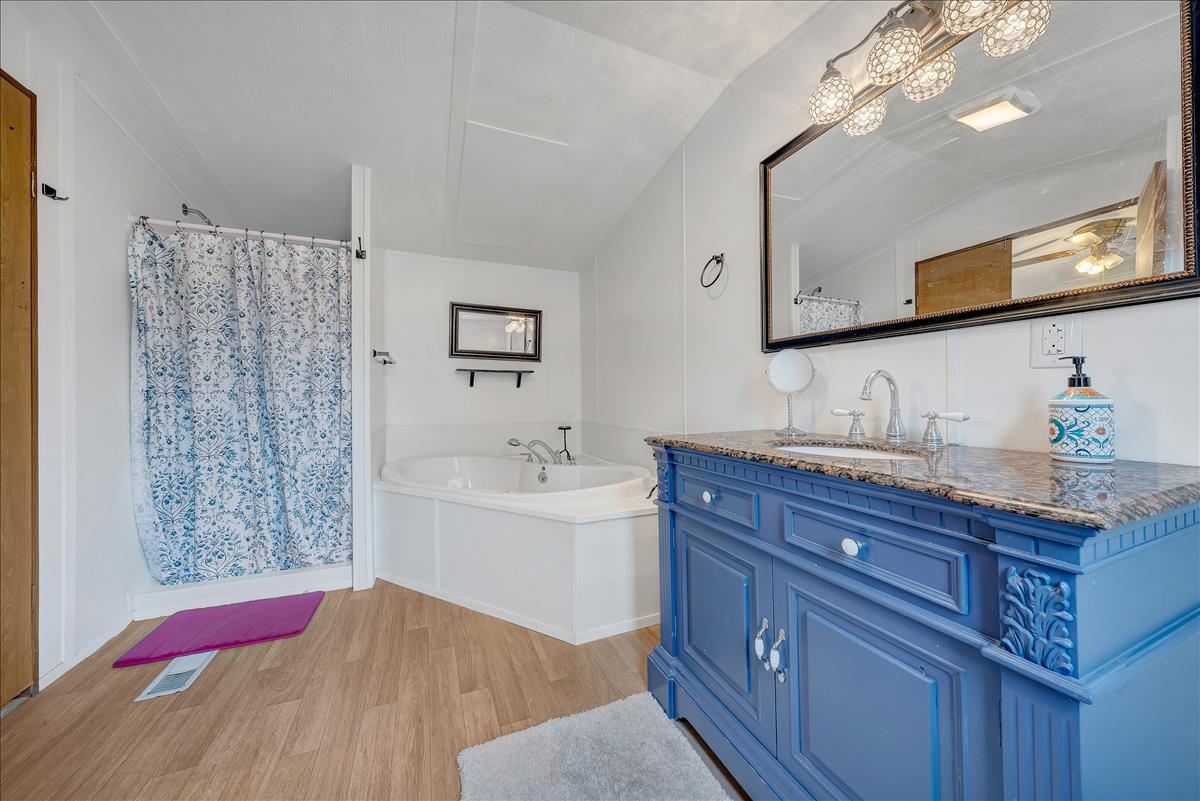 102 Ramblin Rose Road Vinton, VA 24179 - Photo 13 of 22 Master bath