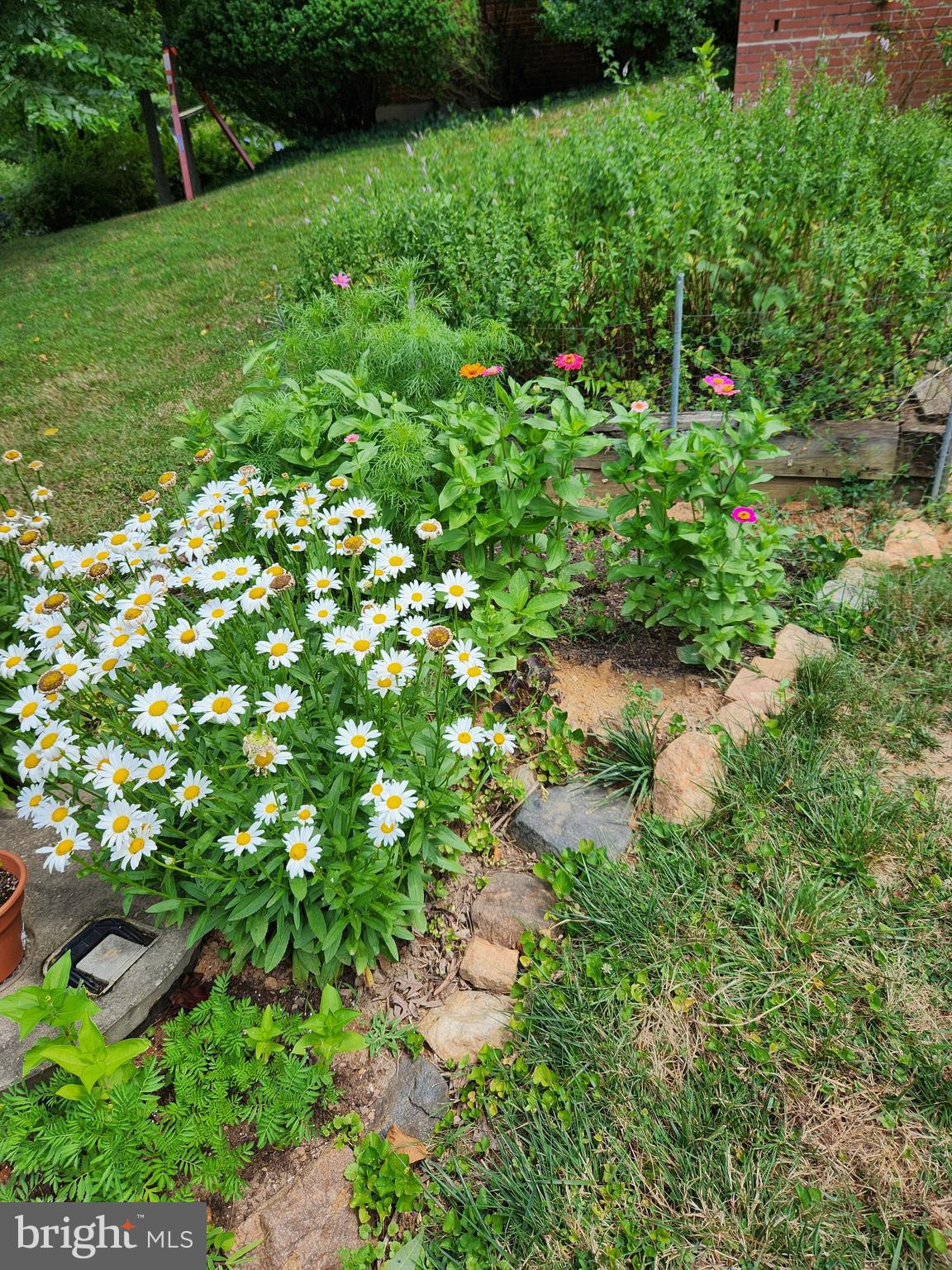 2911 Nelson Lane Fallston, MD 21047 - Photo 74 of 85 a backyard of a house with lots of green space
