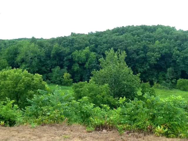 $775,000 | 13927 Carter Lake Street, Jones, MI 49061