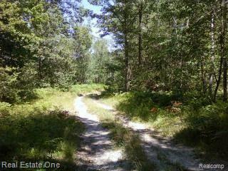 0 128th Rothbury, MI 49452 - Photo 6 of 16 @ Track