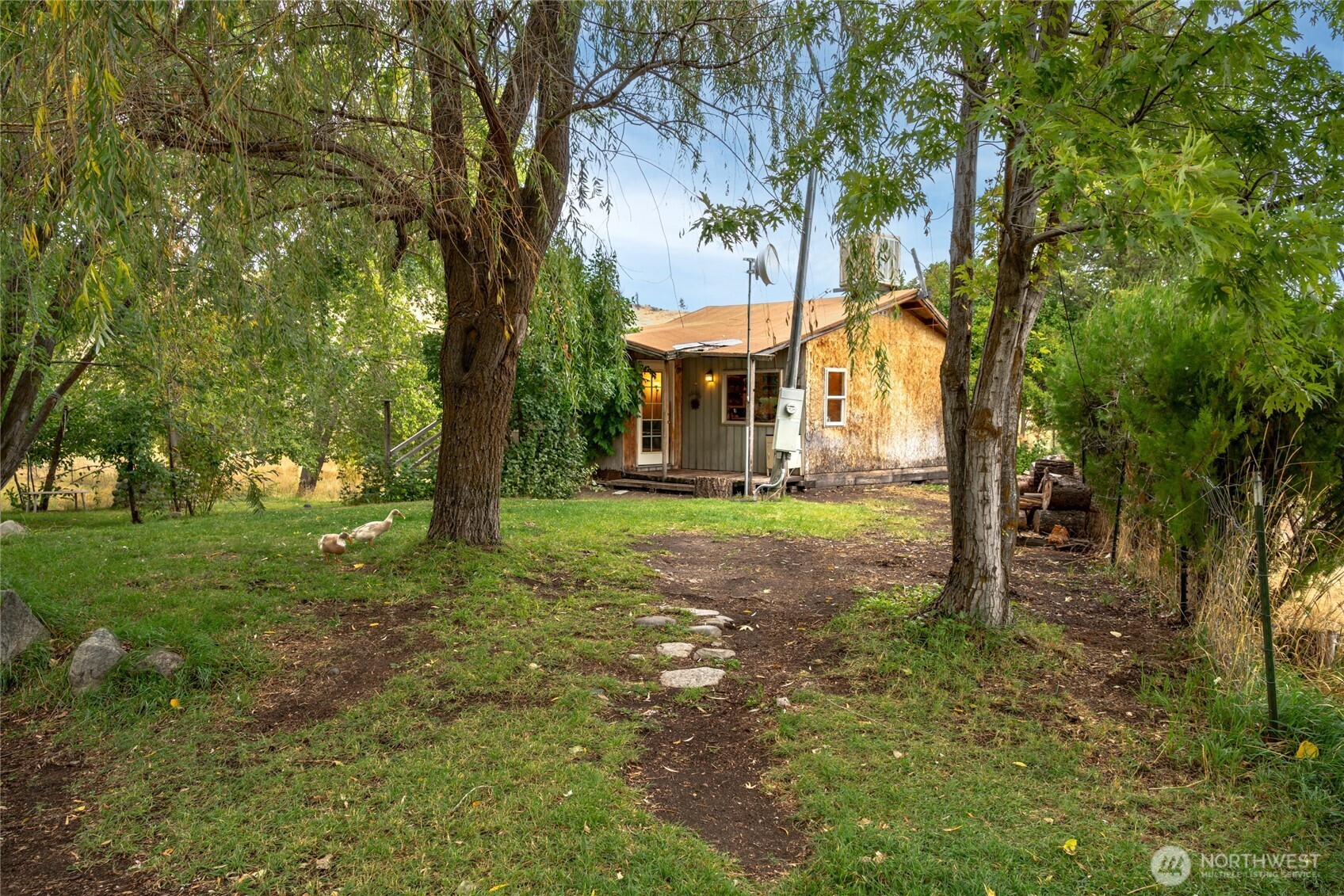 154 Knox Road Riverside, WA 98849 - Photo 3 of 38