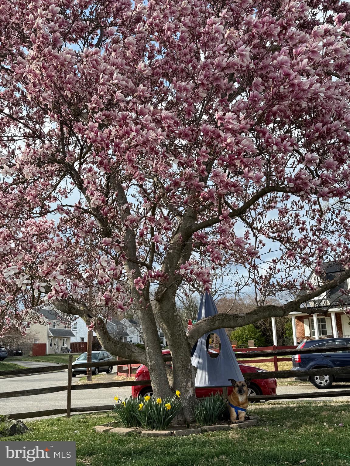 2330 Poe Road Secane, PA 19018 - Photo 31 of 33 a front view of a house with a garden