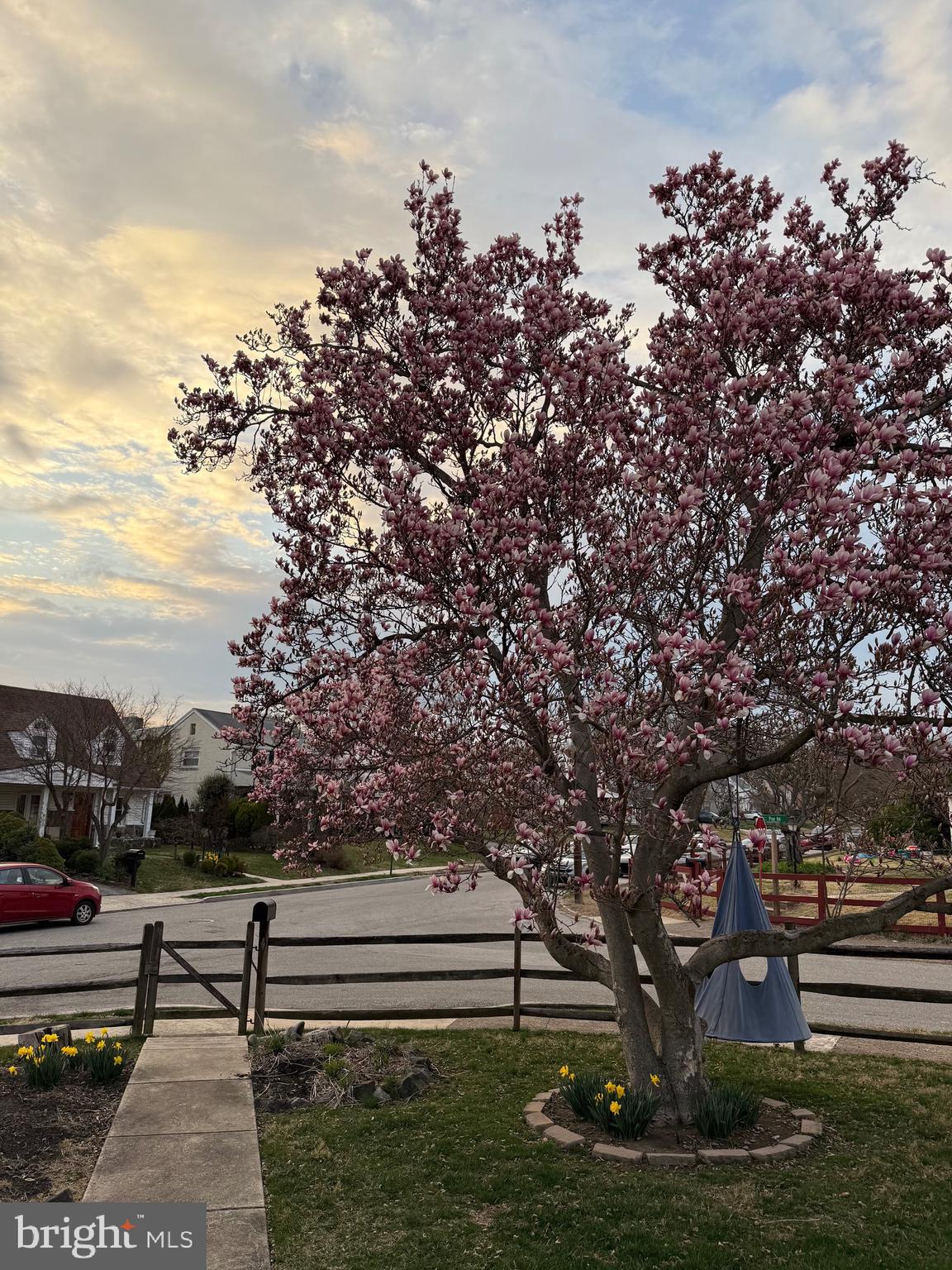 2330 Poe Road Secane, PA 19018 - Photo 32 of 33 a view of outdoor space with garden and trees