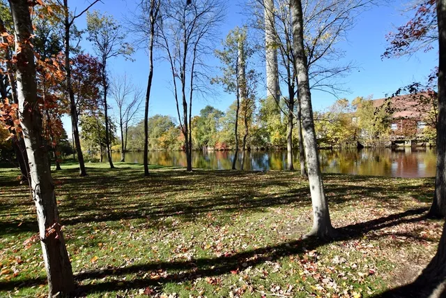 a view of a yard with wooden fence