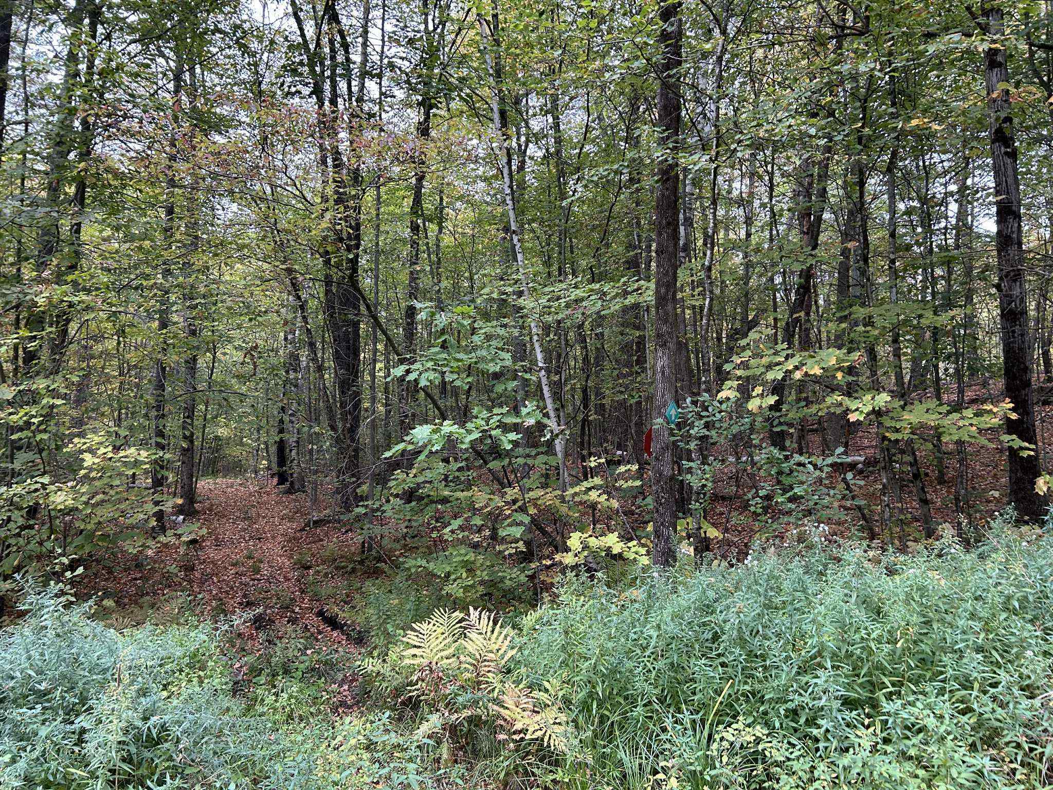 0 Crane Mt Road, Unit LOT # 2 Townshend, VT 05353 - Photo 3 of 5