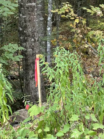 $72,000 | 0 Crane Mt Road, Unit LOT # 2, Townshend, VT 05353