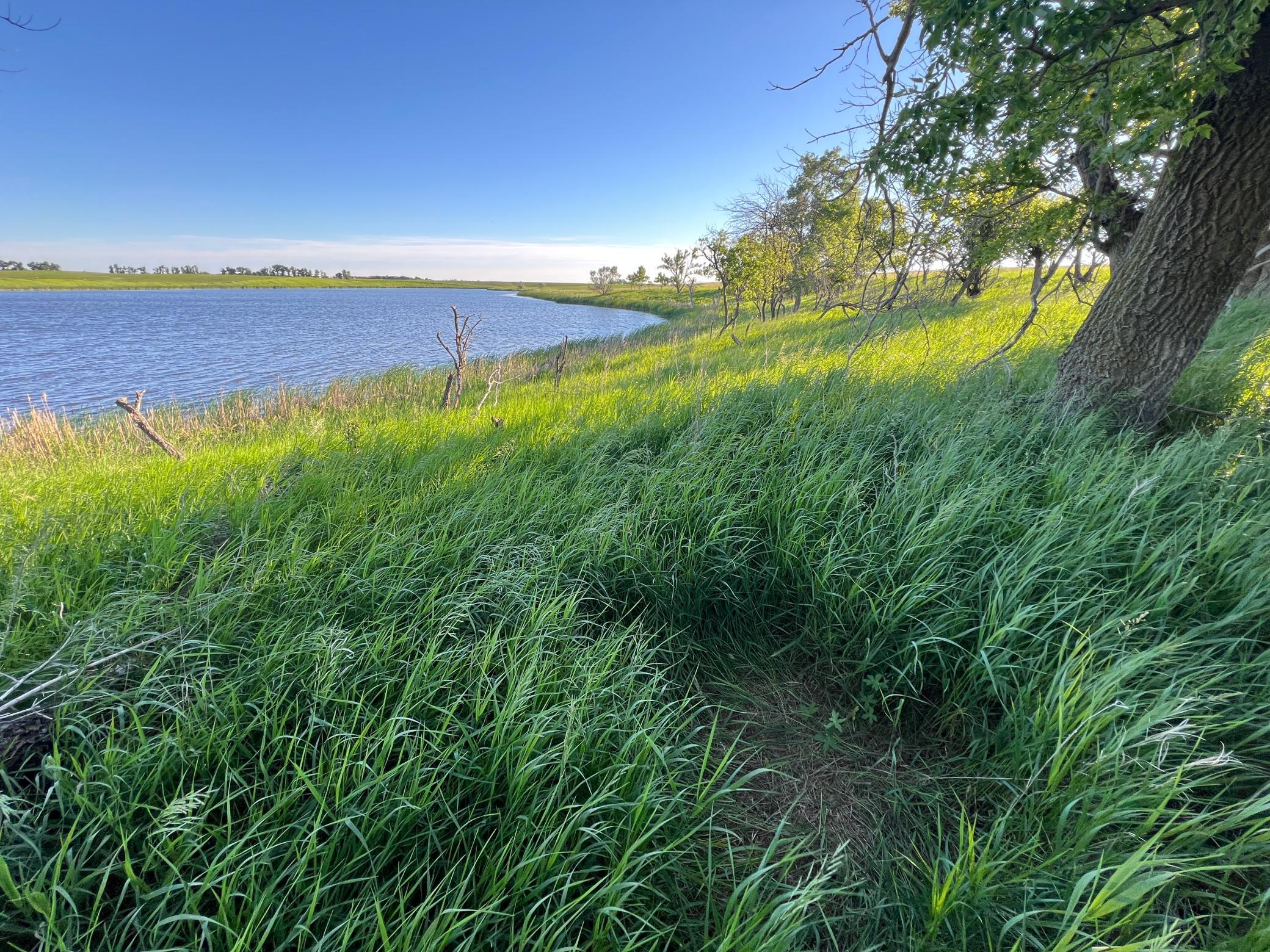 Tbd Southeast Tbd Se 90th Street Rutland, ND 58067 - Photo 25 of 105
