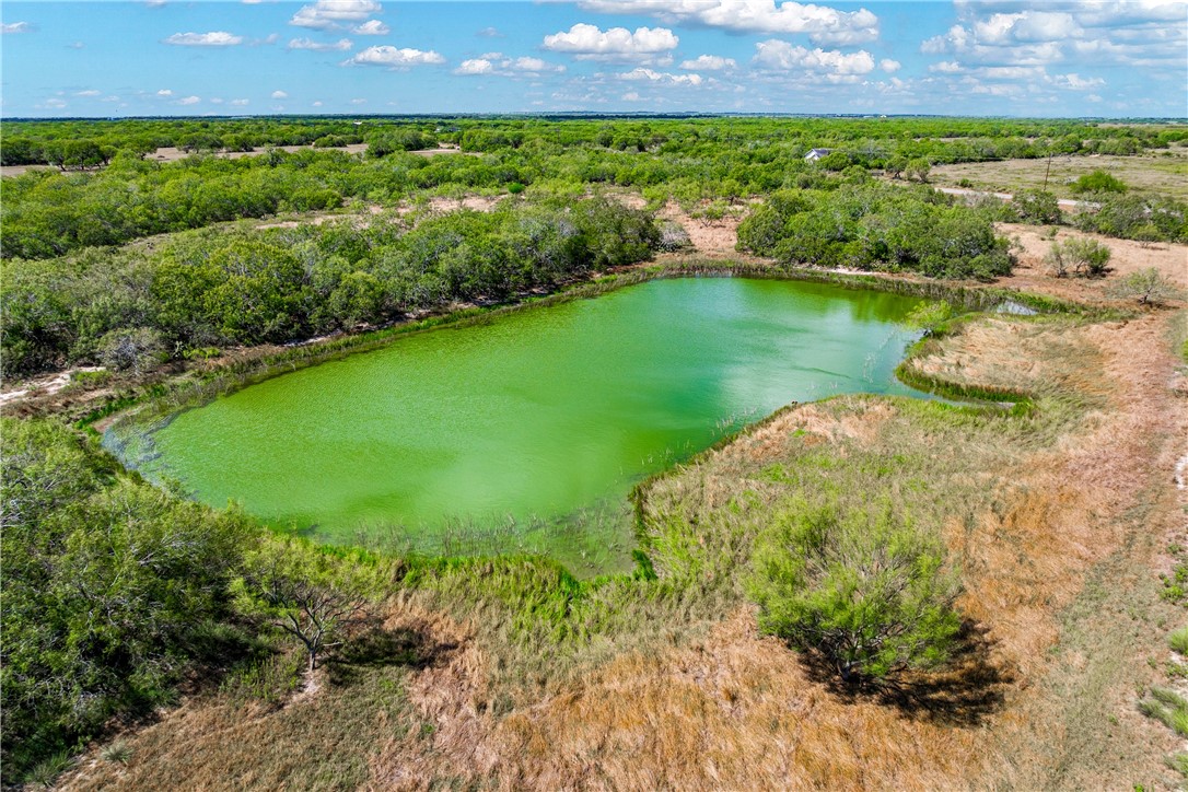 0 Fm 771 Riviera, TX 78379 - Photo 11 of 27 a view of a lake with a city